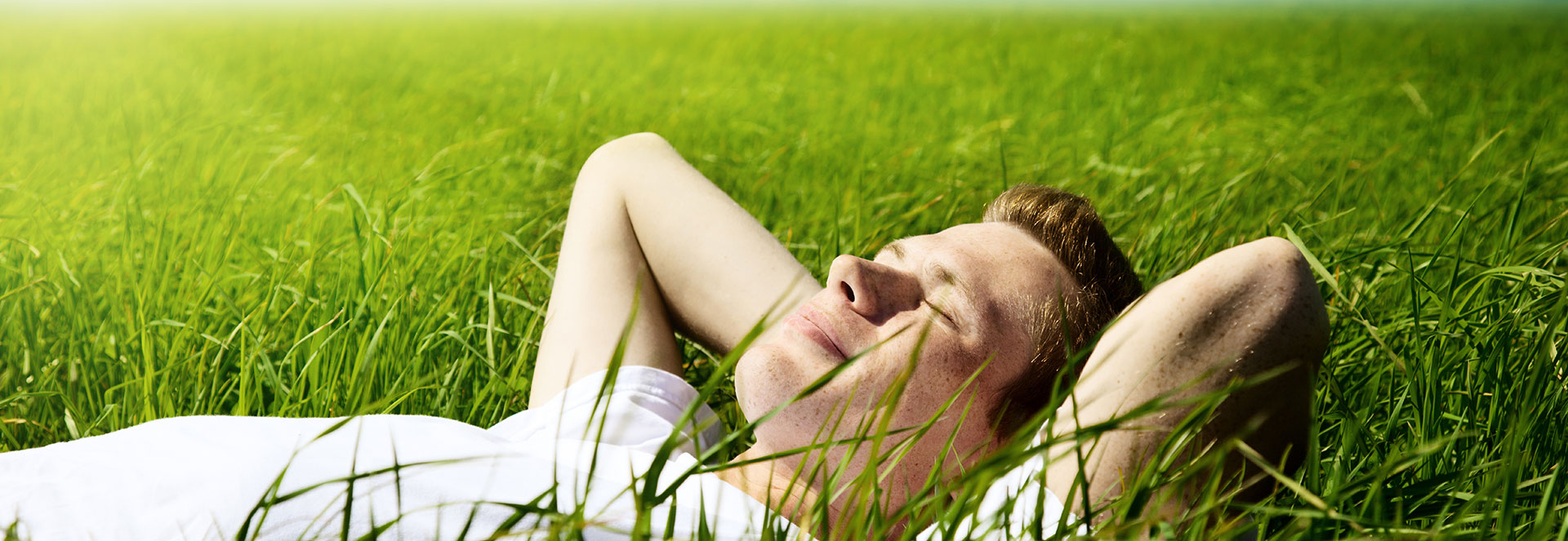 shutterstock_441035201